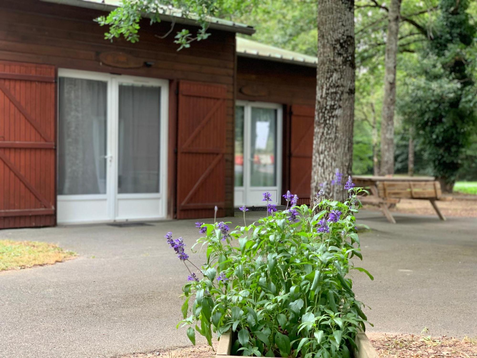 Chalets Mouliere Evasion Montamise ภายนอก รูปภาพ