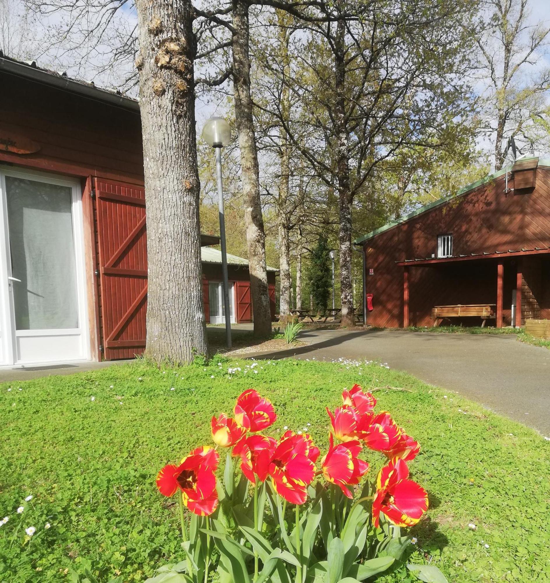 Chalets Mouliere Evasion Montamise ภายนอก รูปภาพ